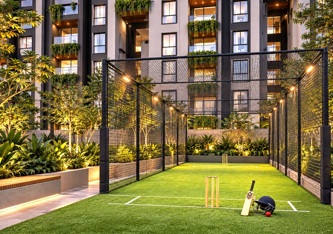 Cricket Pitch